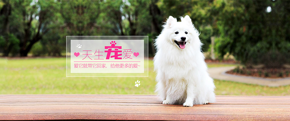 保障